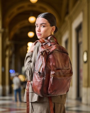 EVOLUTION EASTPACK